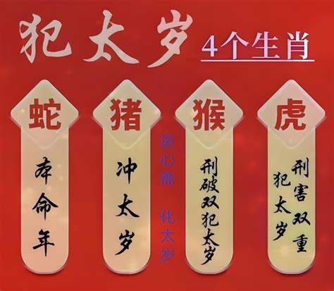 乙巳年生肖|2025乙巳蛇年哪些生肖犯太歲？明年運勢、禁忌、最佳化解時間。